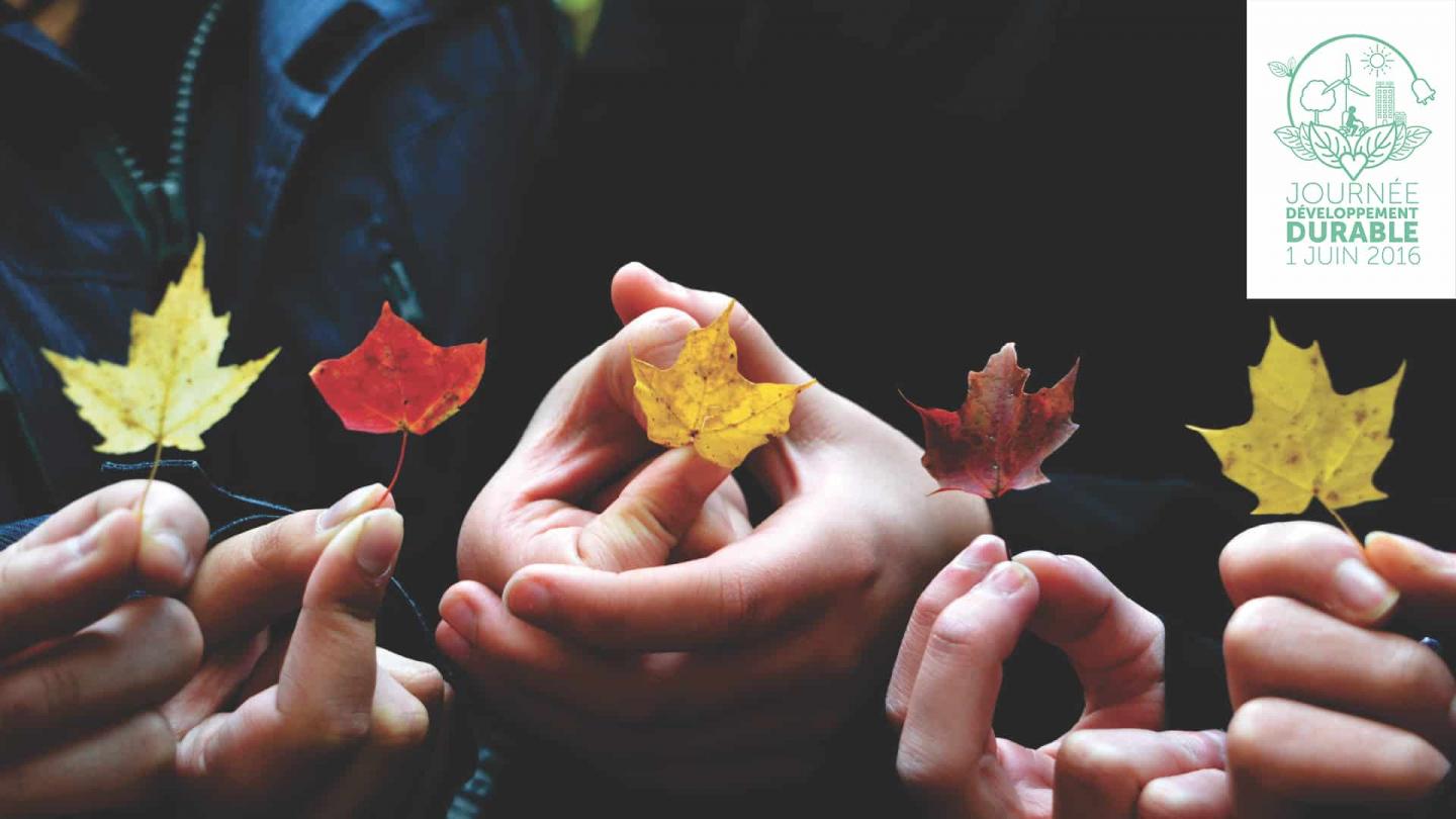 mains d'enfant tenant des petites feuilles logo développement durable Vinci en haut à droite